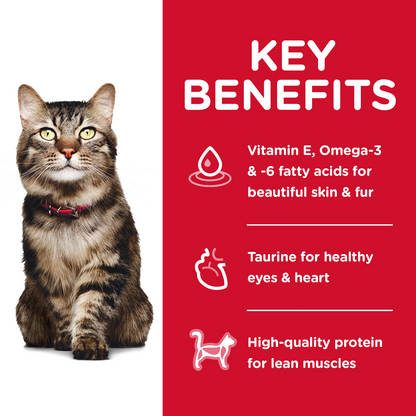 HILLS Science Diet Hairball Control Chicken Mature 7+ Dry Cat Food