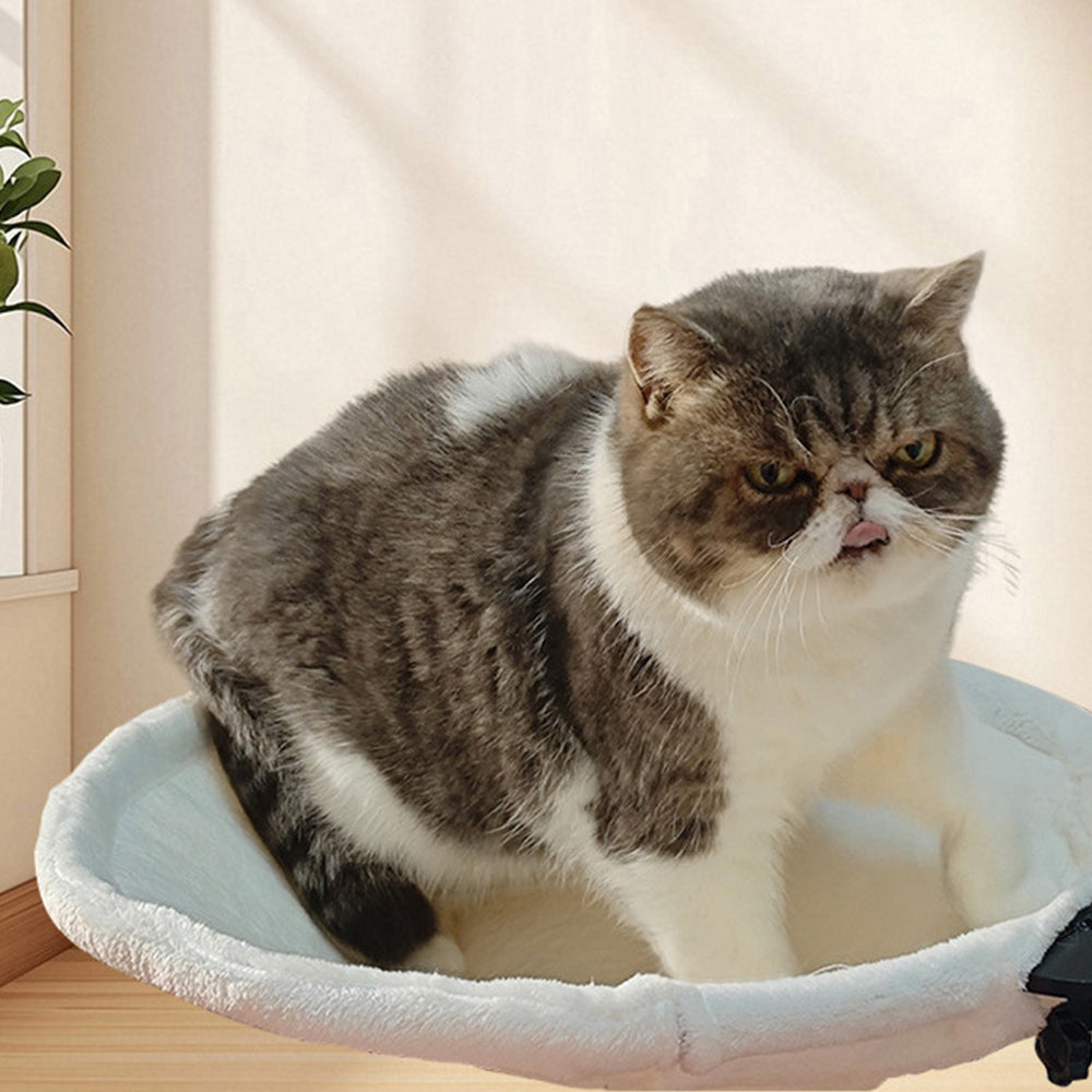 Desk-Mounted Cat Hammock – Clip-On Cat Bed for Table & Desk