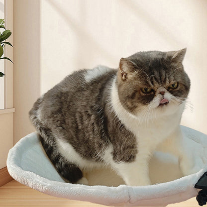 Desk-Mounted Cat Hammock – Clip-On Cat Bed for Table & Desk