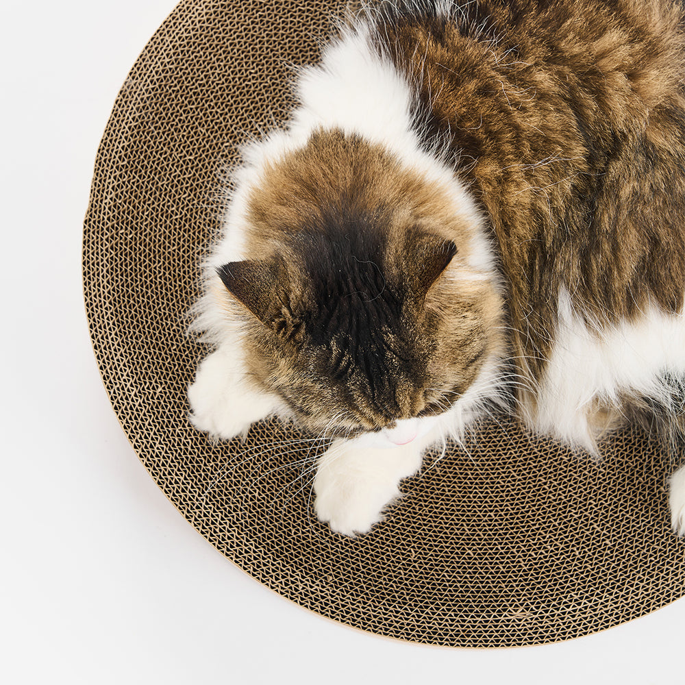 PIDAN Cat Scratcher Round Type