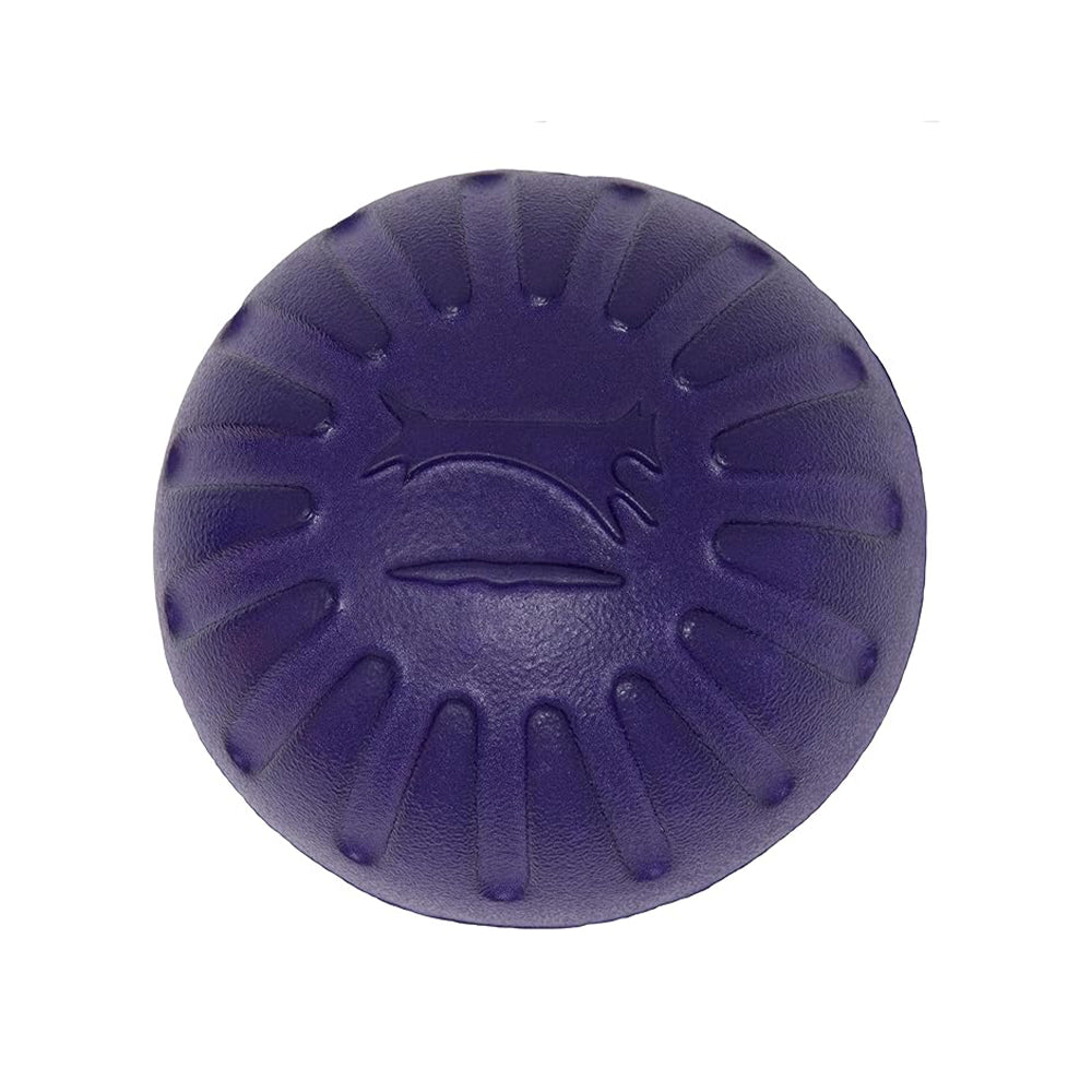 Durable Food Dispensing Squeaky Dog Chew Toy