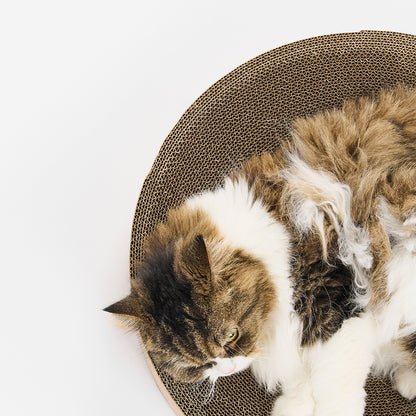 PIDAN Cat Scratcher Round Type