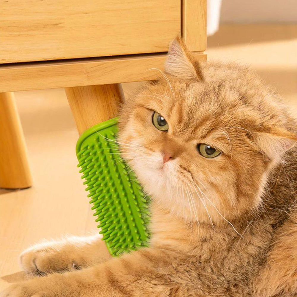 Silicone Cat Self Groomer – Corner & Furniture Mount Brush 1Pcs Random