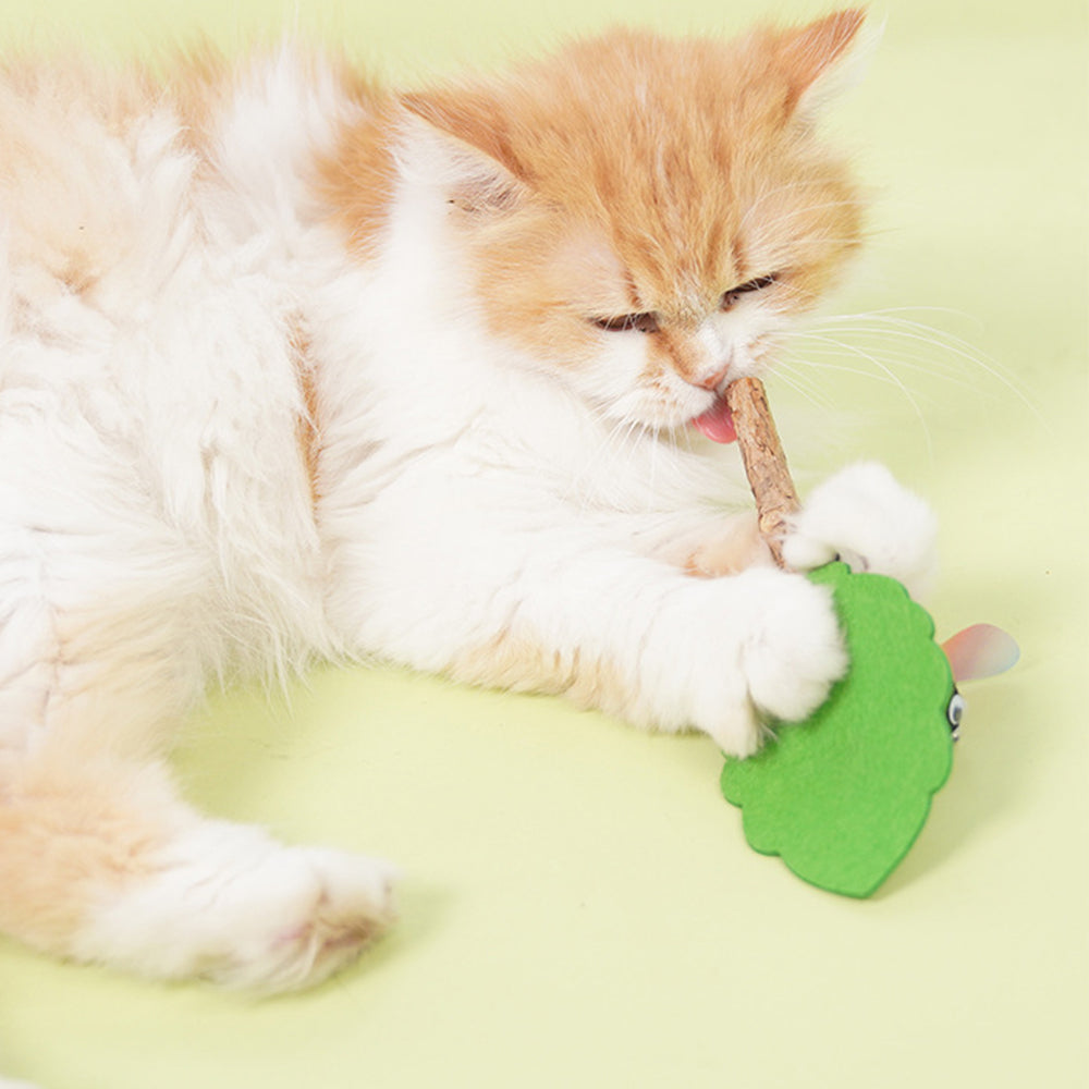 Silvervine Cat Teaser Wand – Interactive Dental Chew Toy