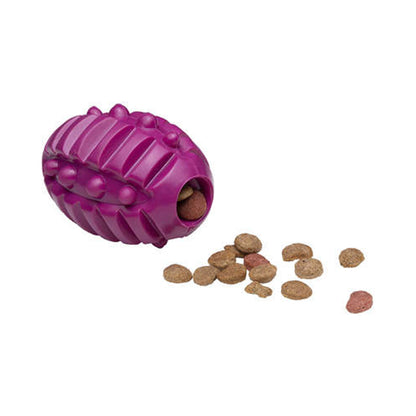 Durable Food Dispensing Squeaky Dog Chew Toy