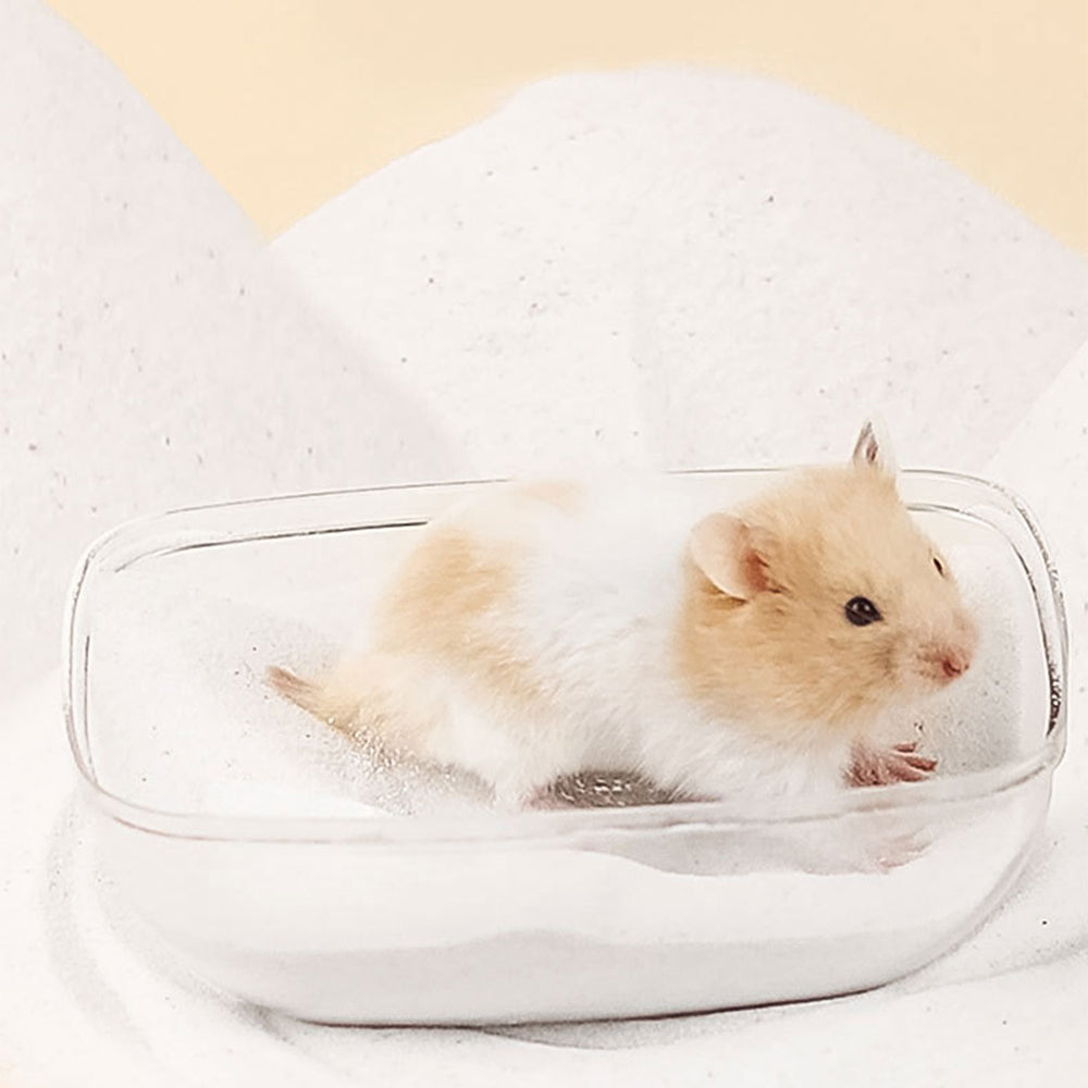 Acrylic Small Pet Dust Bath Container – Large Size for Hamsters, Chinchillas & More