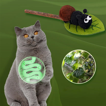 Silvervine Cat Teaser Wand – Interactive Dental Chew Toy