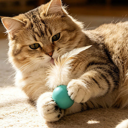 Cat Toy Bouncy Ball Feather Interactive 3 Pack