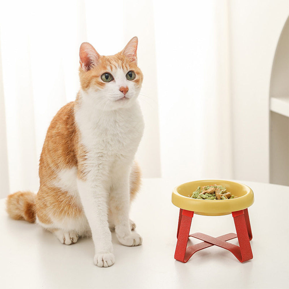 PECOLO PE Pet Bowl – Anti-Spill Inward Rim