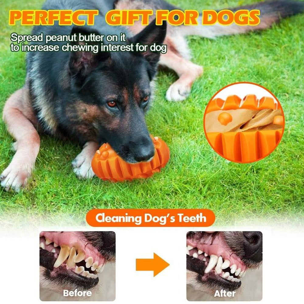 Durable Food Dispensing Squeaky Dog Chew Toy
