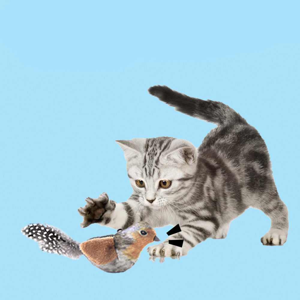 Interactive Chirping Bird Cat Toy – Catnip Sound Teaser Wand