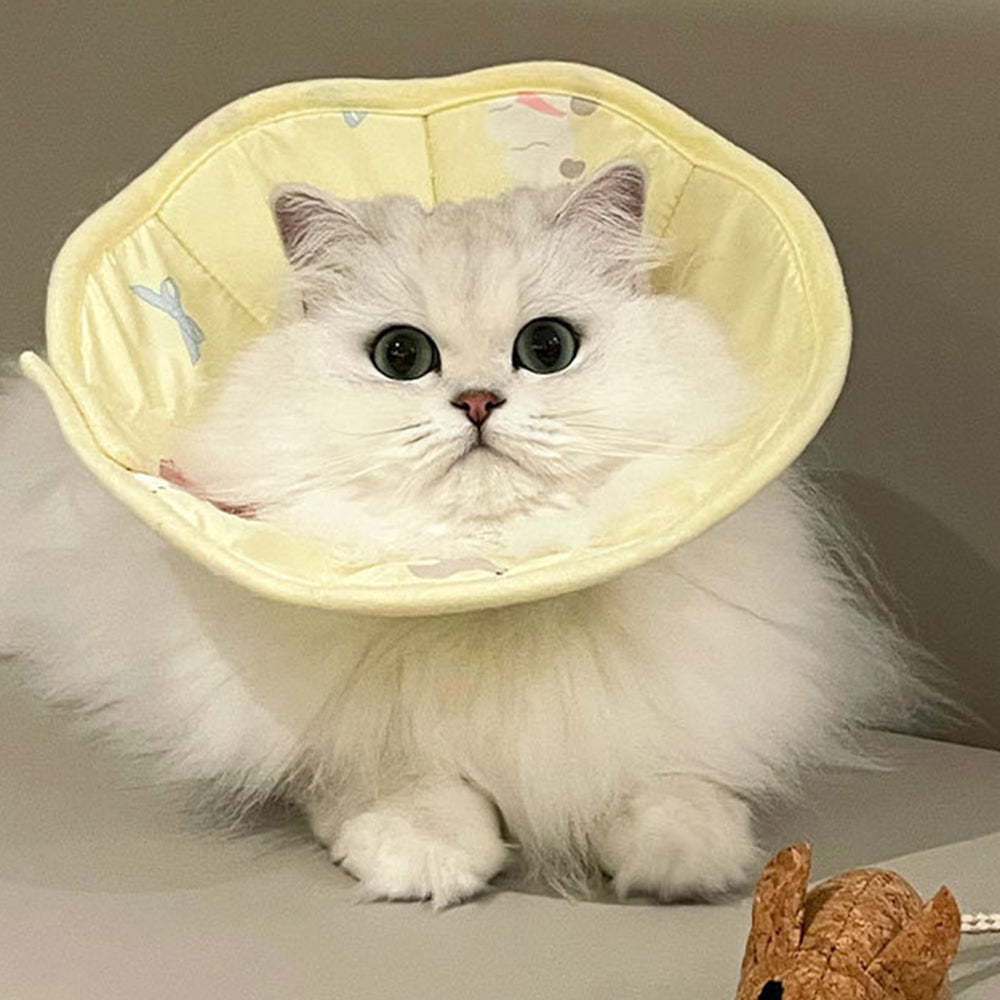Pet Elizabethan Collar