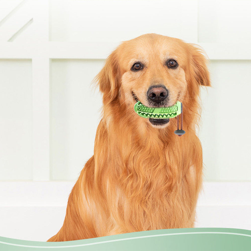 Green Strong Suction & Durable Dispensing Interactive Dog Toy