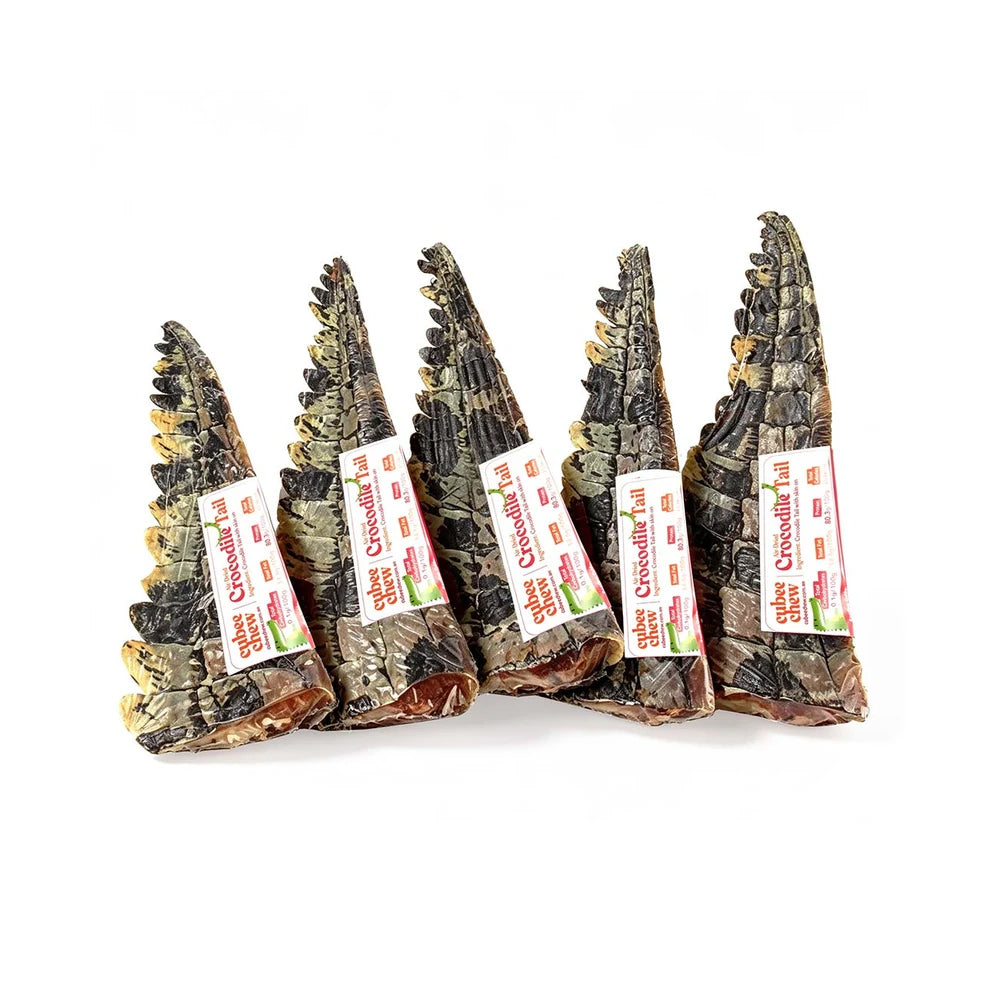 Cubee Chew Air-Dried Crocodile Tail Skin On Dog Treats 1pc