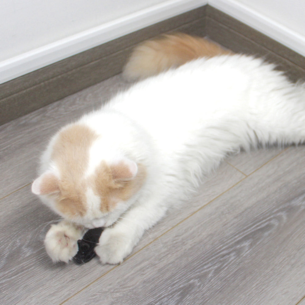 Cat Toy Mouse – Realistic Furry Squeaky Interactive Toy (1pc, Random Color)