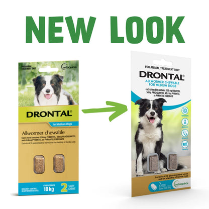 DRONTAL Dog Deworming Chews for Dogs (10kg)