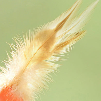 Cat Toy Bouncy Ball Feather Interactive 3 Pack