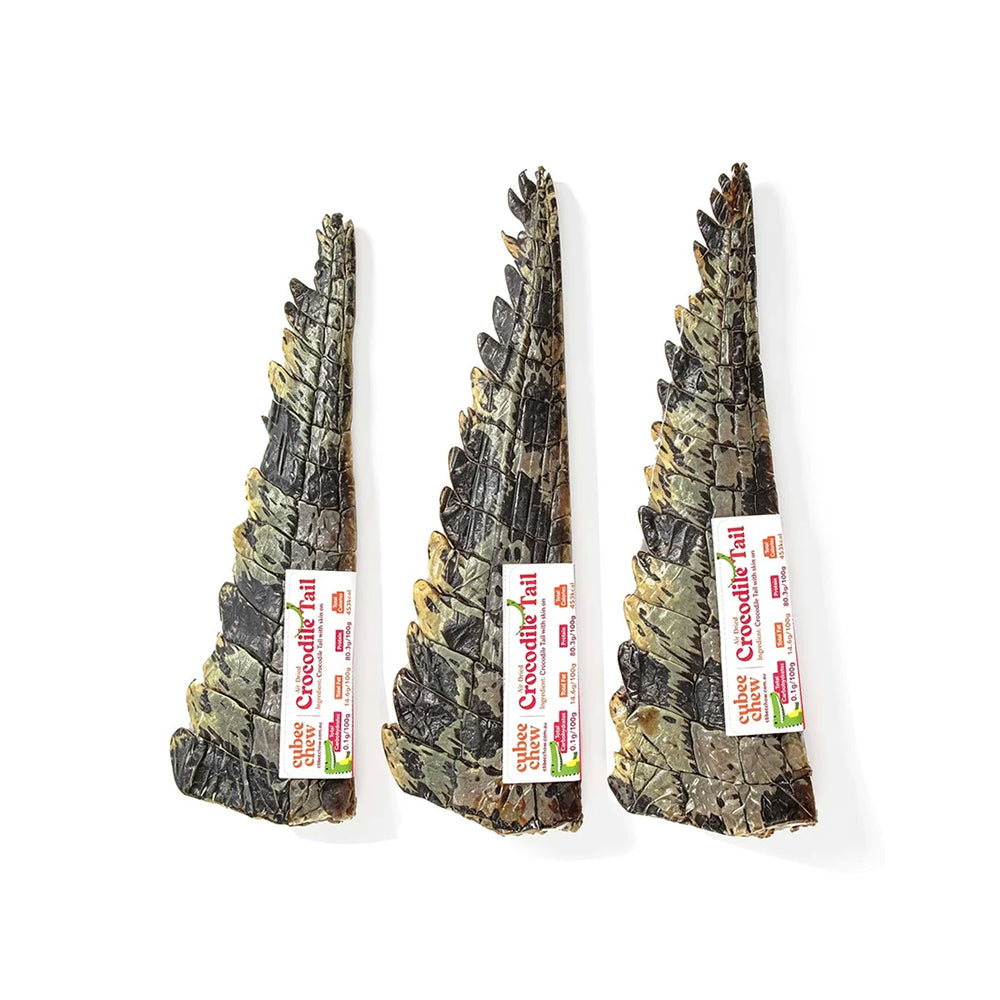 Cubee Chew Air-Dried Crocodile Tail Skin On Dog Treats 1pc