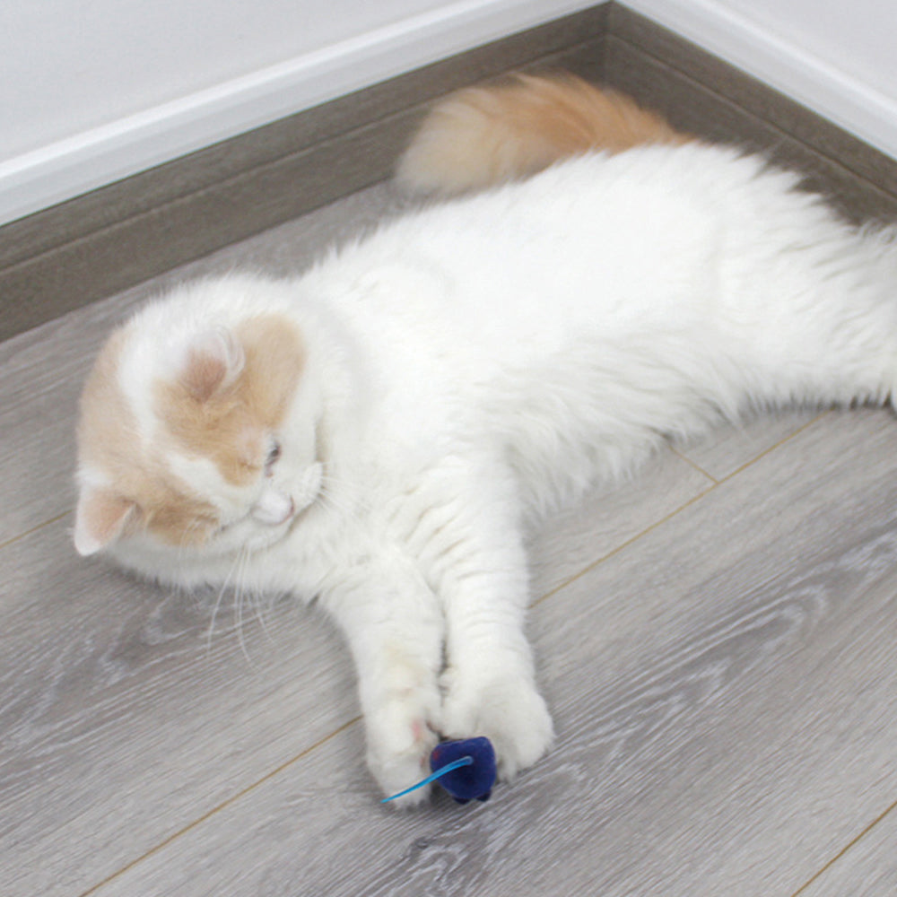 Cat Toy Mouse – Realistic Furry Squeaky Interactive Toy (1pc, Random Color)