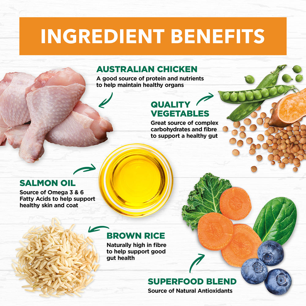 IVORY COAT Holistic Nutrition Chicken & Brown Rice Adult Dog Food 15kg