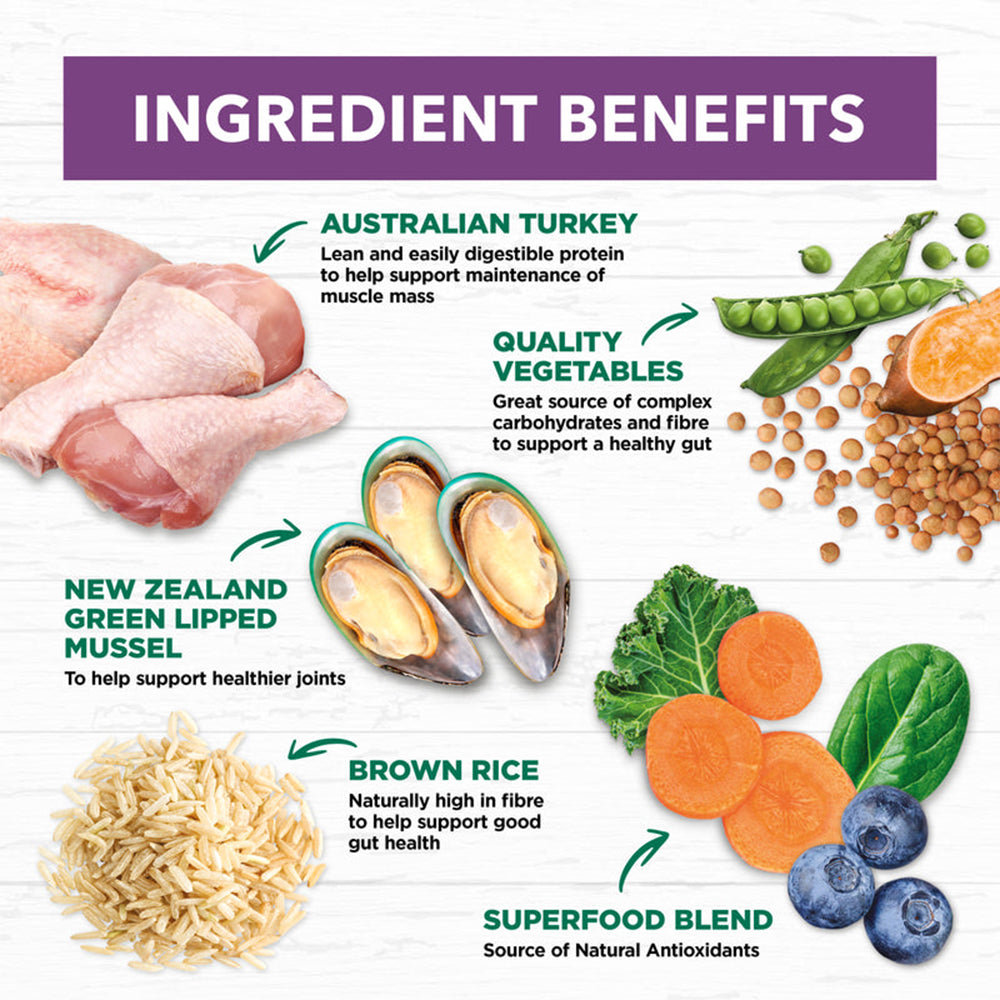 IVORY COAT Holistic Nutrition Turkey & Brown Rice Adult Large Breed Dog Food 2.5kg