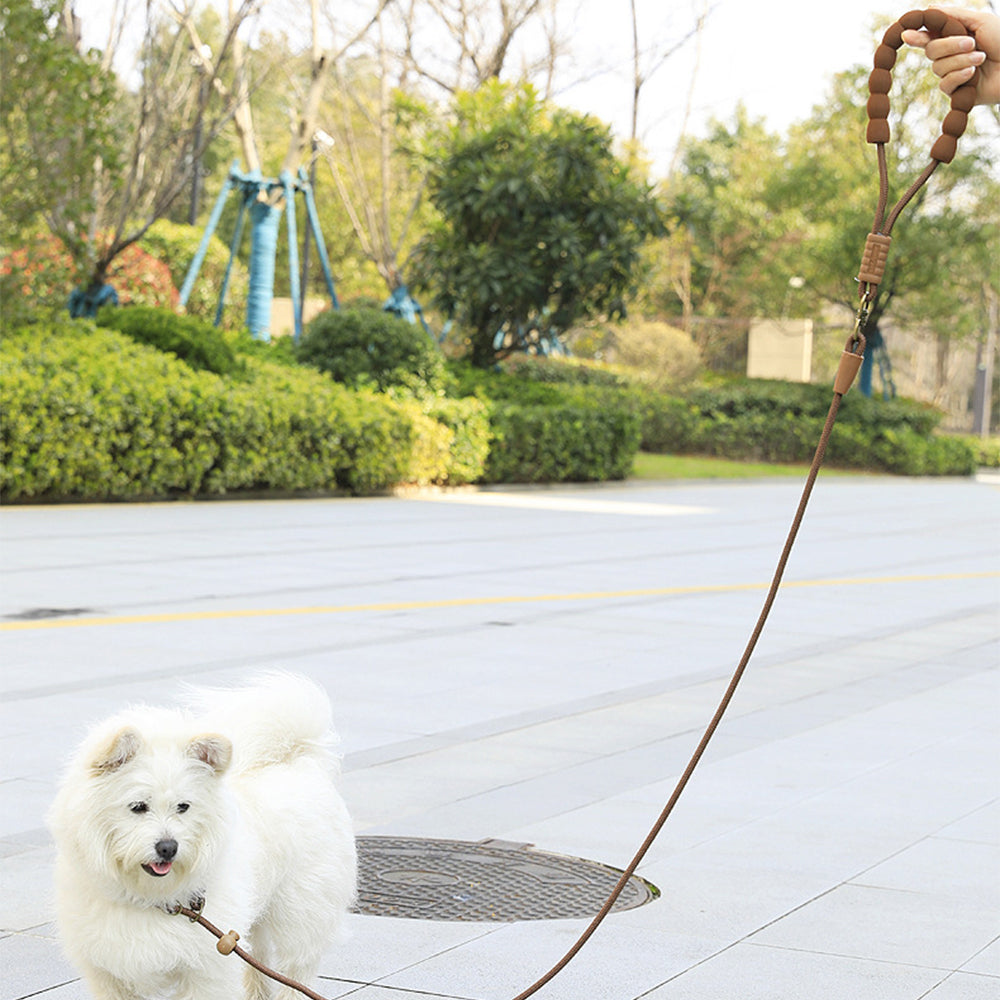 Dog Slip Lead Training Leash Heavy Duty