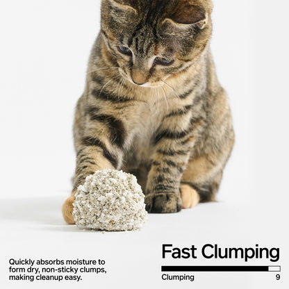 PIDAN Cassava & Bentonite Cat Litter