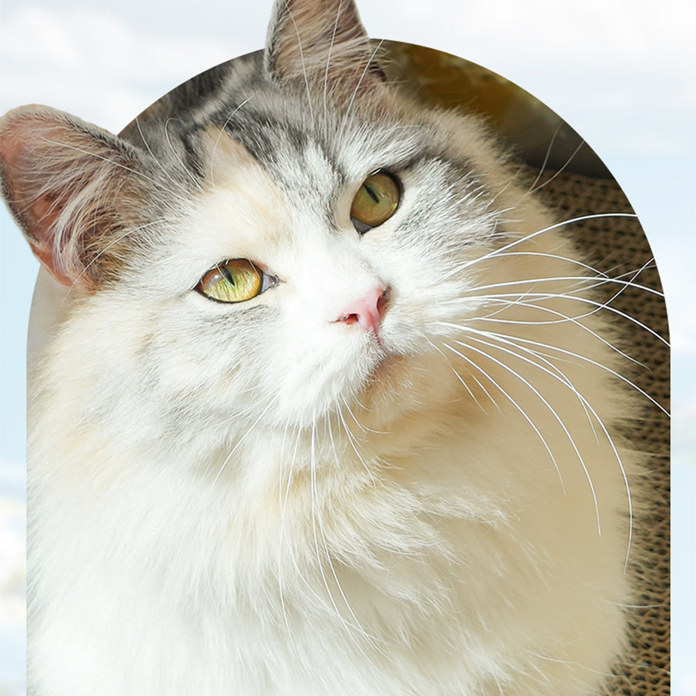 Oil Painting Cat Scratcher Bed