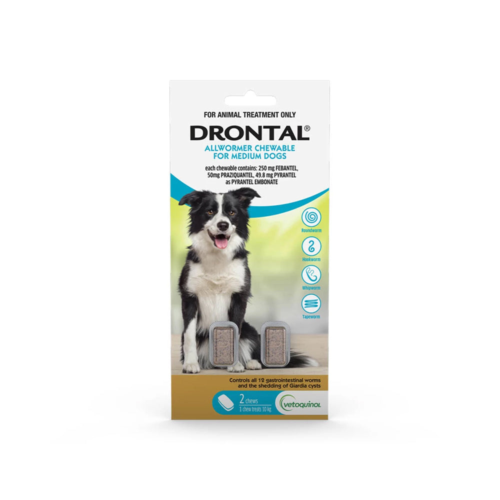 DRONTAL Dog Deworming Chews for Dogs (10kg)