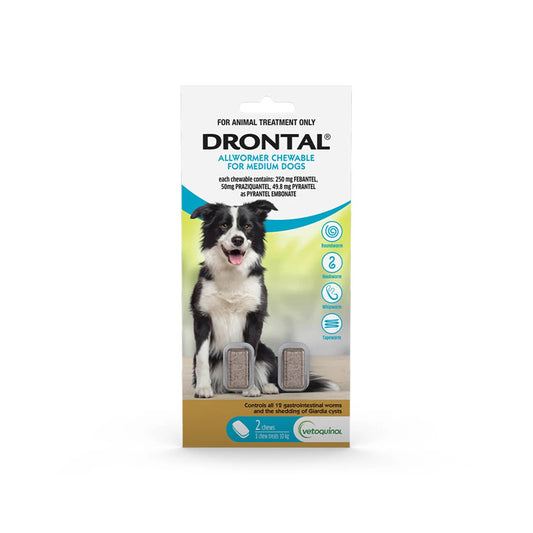 DRONTAL Dog Deworming Chews for Dogs (10kg)