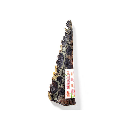 Cubee Chew Air-Dried Crocodile Tail Skin On Dog Treats 1pc