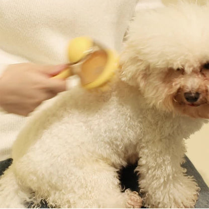 Pet Bathing & Massage Brush