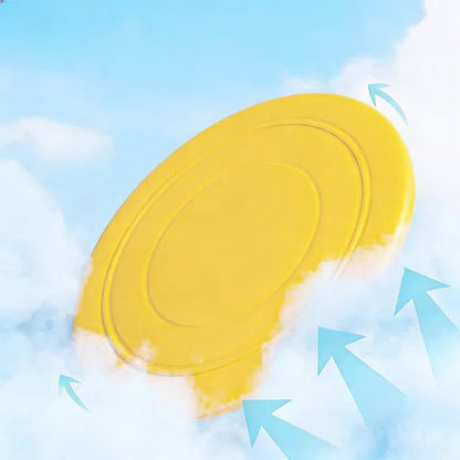 Silicone Dog Training Frisbee Interactive Toy