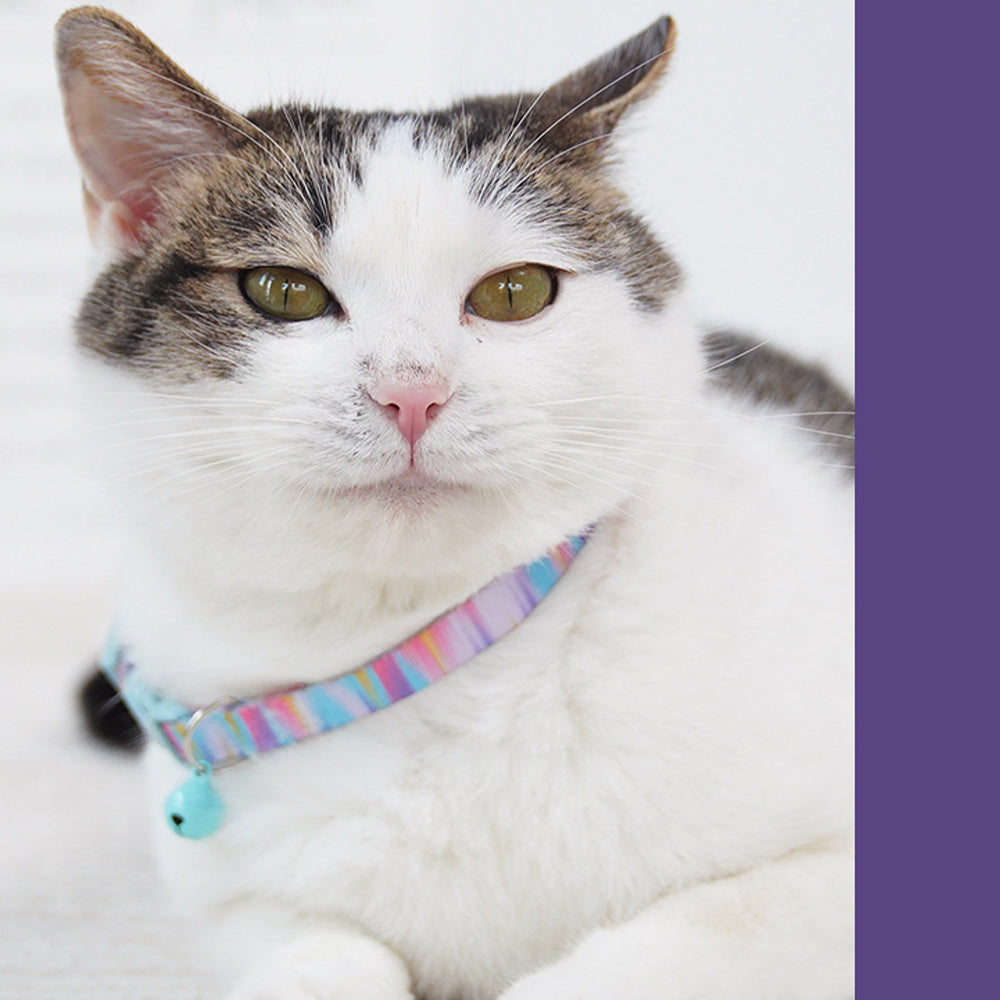 Cat Collar Breakaway Safety Adjustable with Bell | PETSO