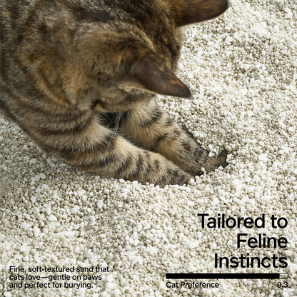 PIDAN Cassava & Bentonite Cat Litter