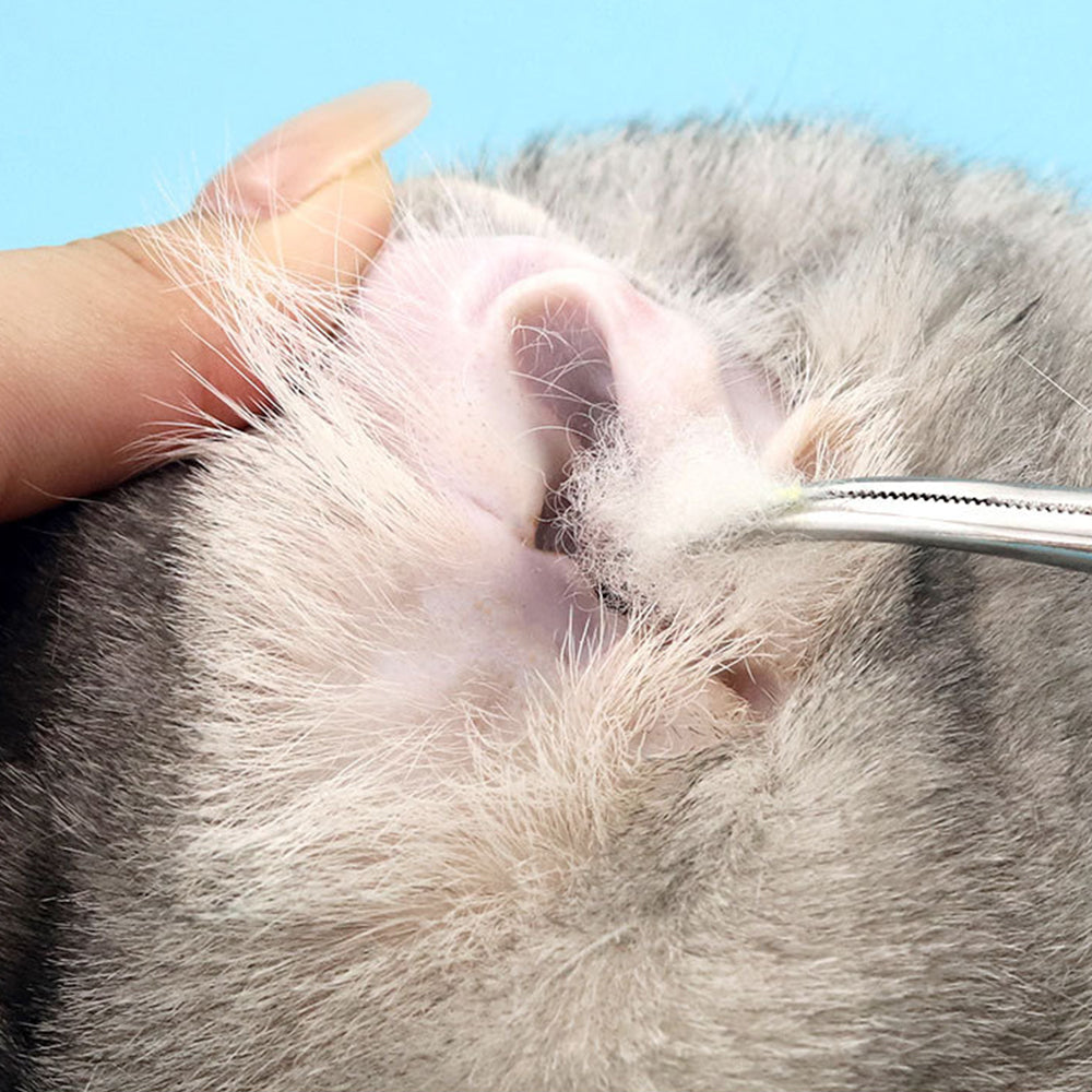 Pet Grooming Scissors | Stainless Steel | Cats & Dogs