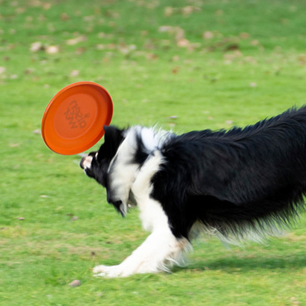 Durable Dog Flying Disc – Chew-Resistant Fetch Toy 18cm