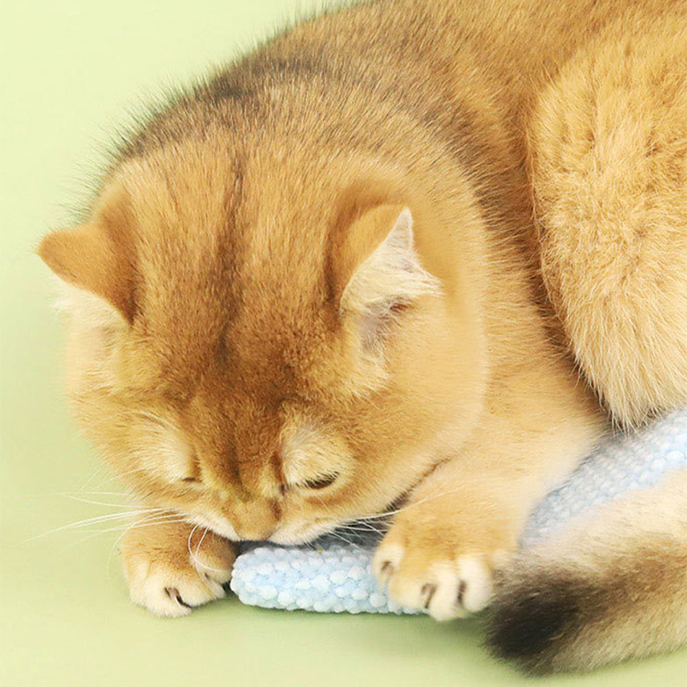 Cat Toy Plush Crinkle Sound Interactive Chew Toy