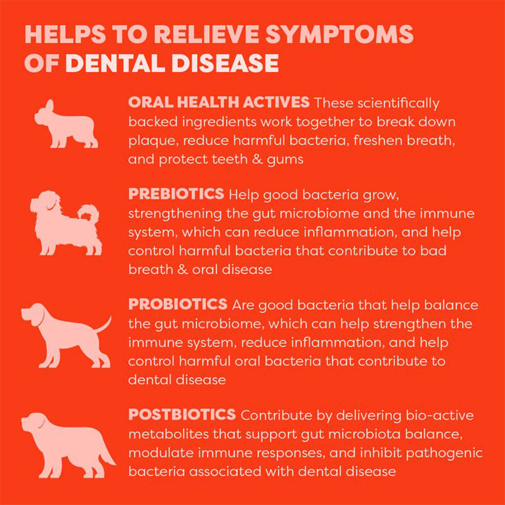 BELL & BONE Salmon Dog Dental Topper 30ml