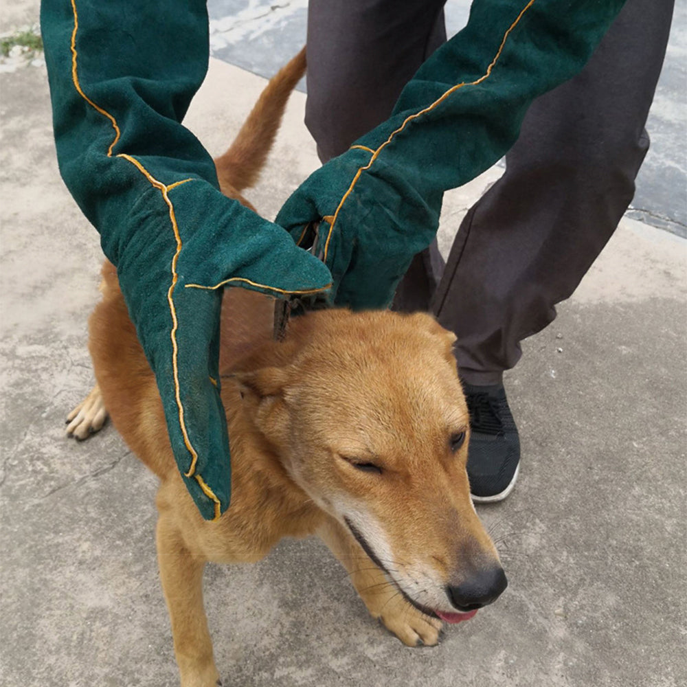 Animal Handling Gloves – Bite Proof Protective