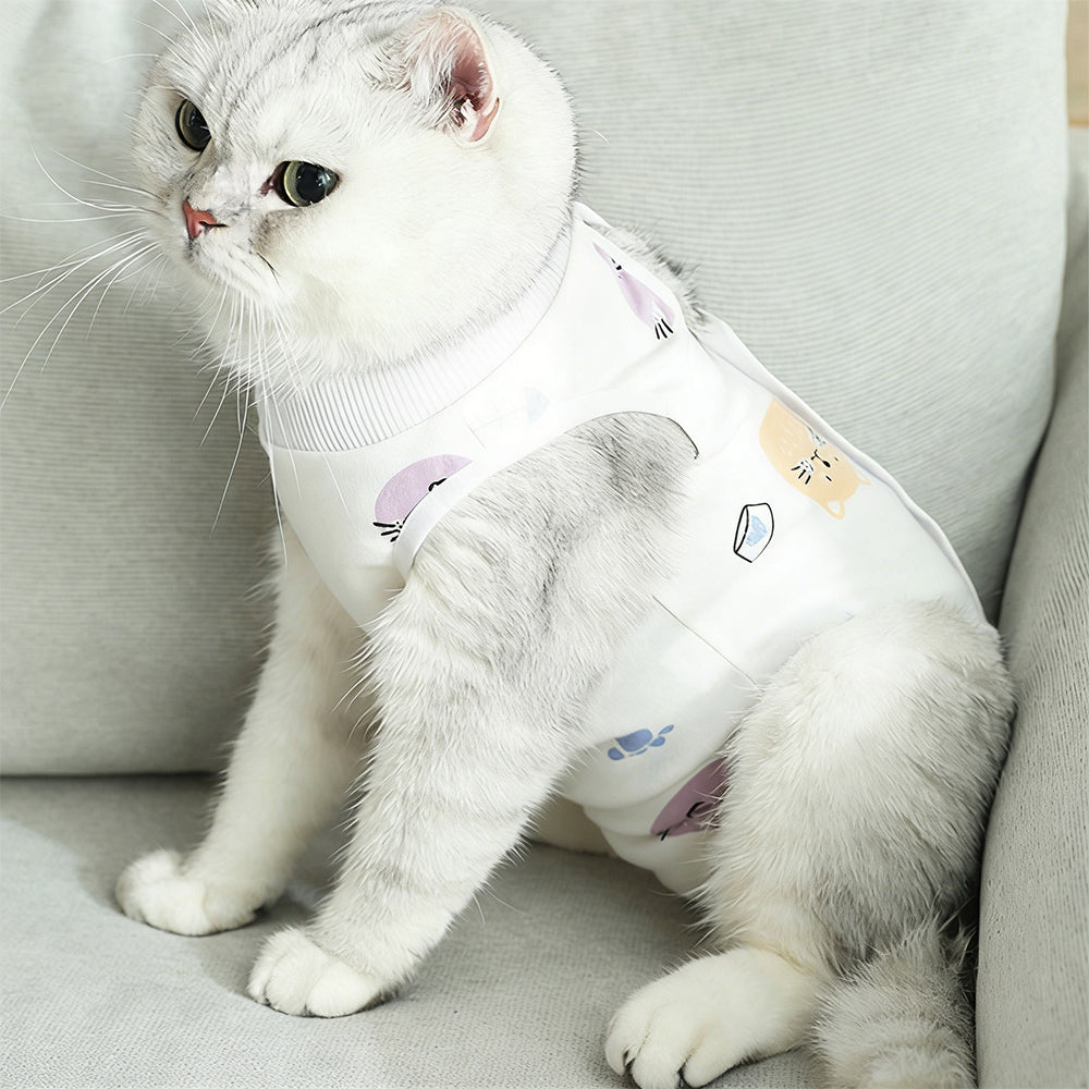 Cartoon Cat Pet Clothes - Random Shipment