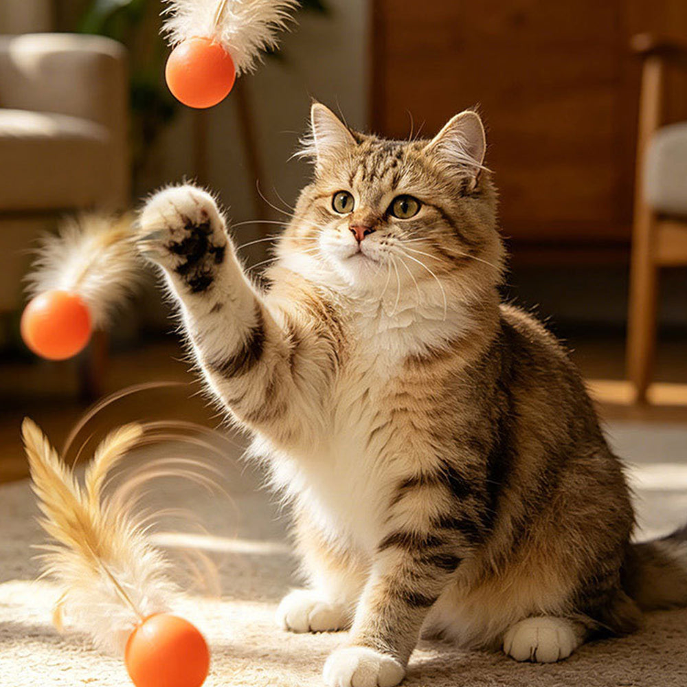 Cat Toy Bouncy Ball Feather Interactive 3 Pack