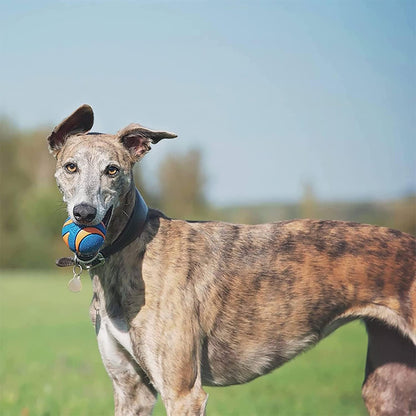 CHUCKIT! Ultra Squeaker Ball Rubber Fetch Dog Toy Large