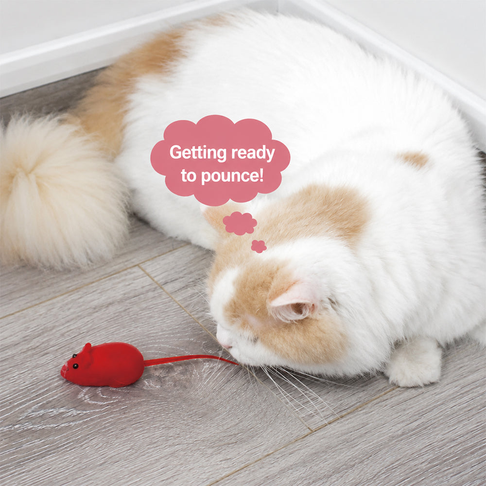 Cat Toy Mouse – Realistic Furry Squeaky Interactive Toy (1pc, Random Color)