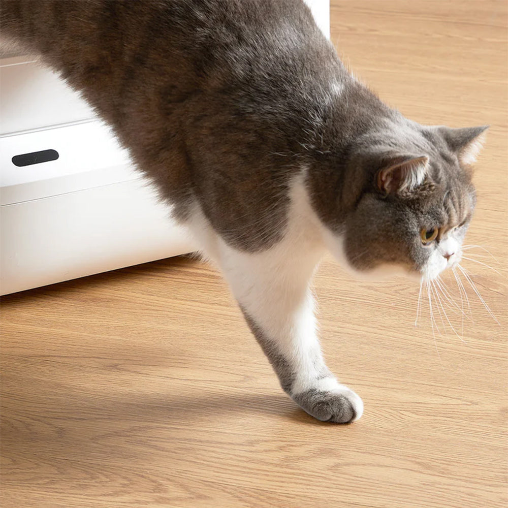 PETKIT Natural Plant Cassava Cat Litter 2.4Kg