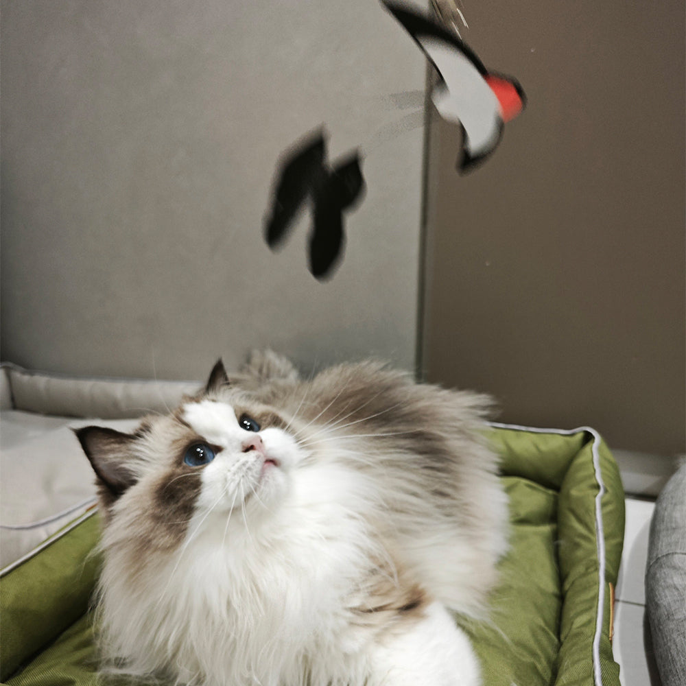 Cat Teaser Wand With Bell - Long Wire Rod & 2 Replacement Heads