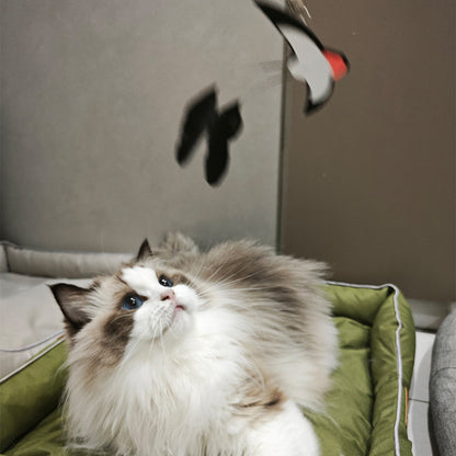 Cat Teaser Wand With Bell - Long Wire Rod & 2 Replacement Heads