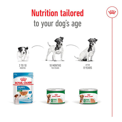 ROYAL CANIN Mini Adult Loaf Wet Dog Food 195g x 12