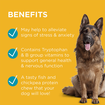 PAW Complete Calm Dog Multivitamin Chews 300g