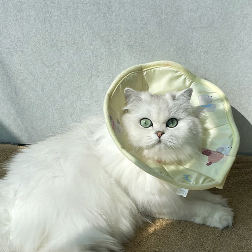 Pet Elizabethan Collar